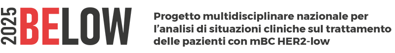 below-header-piccolo